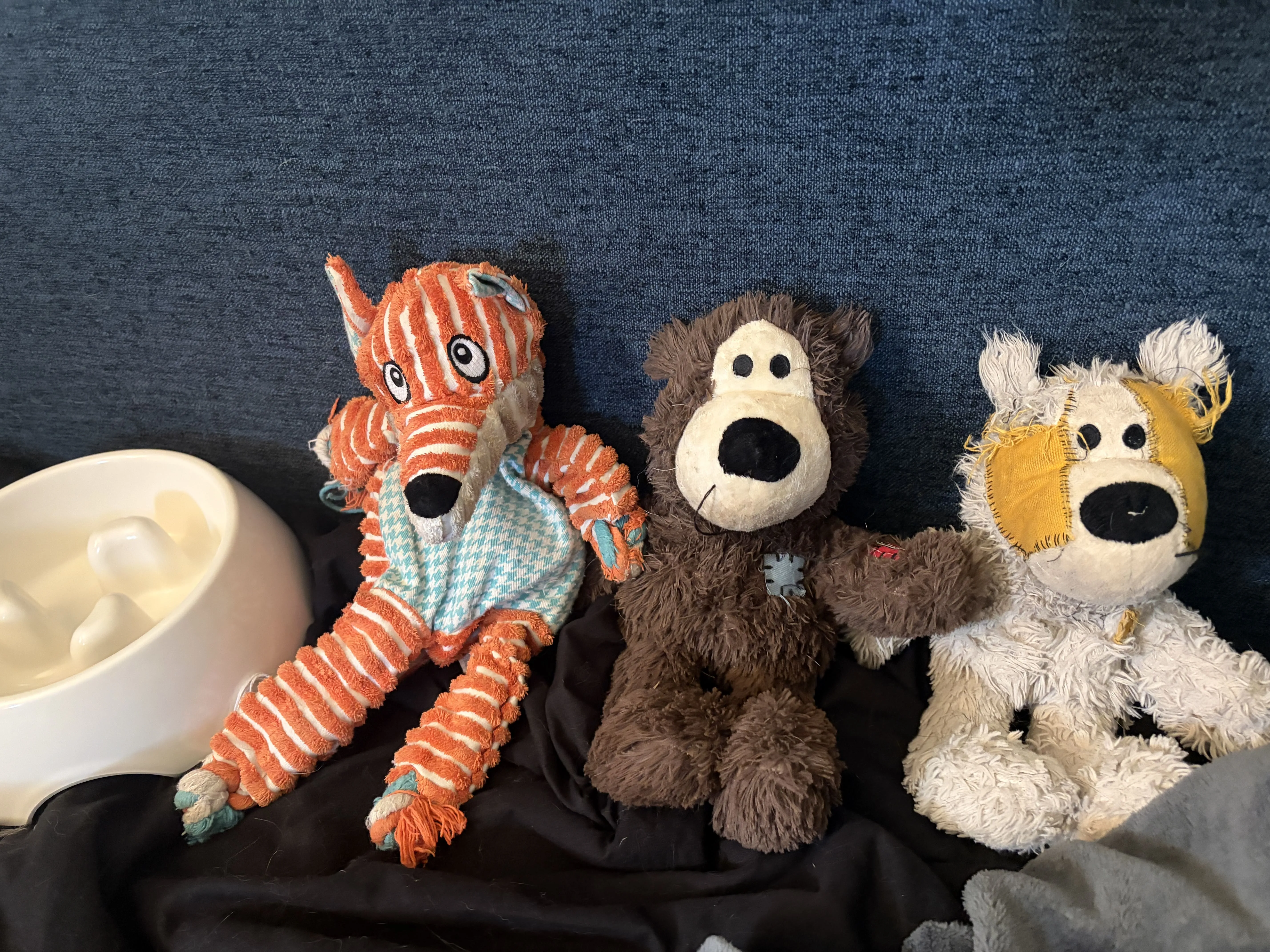 Roscoe’s plush toys: Mr. Fox, Brobear, and Robear
