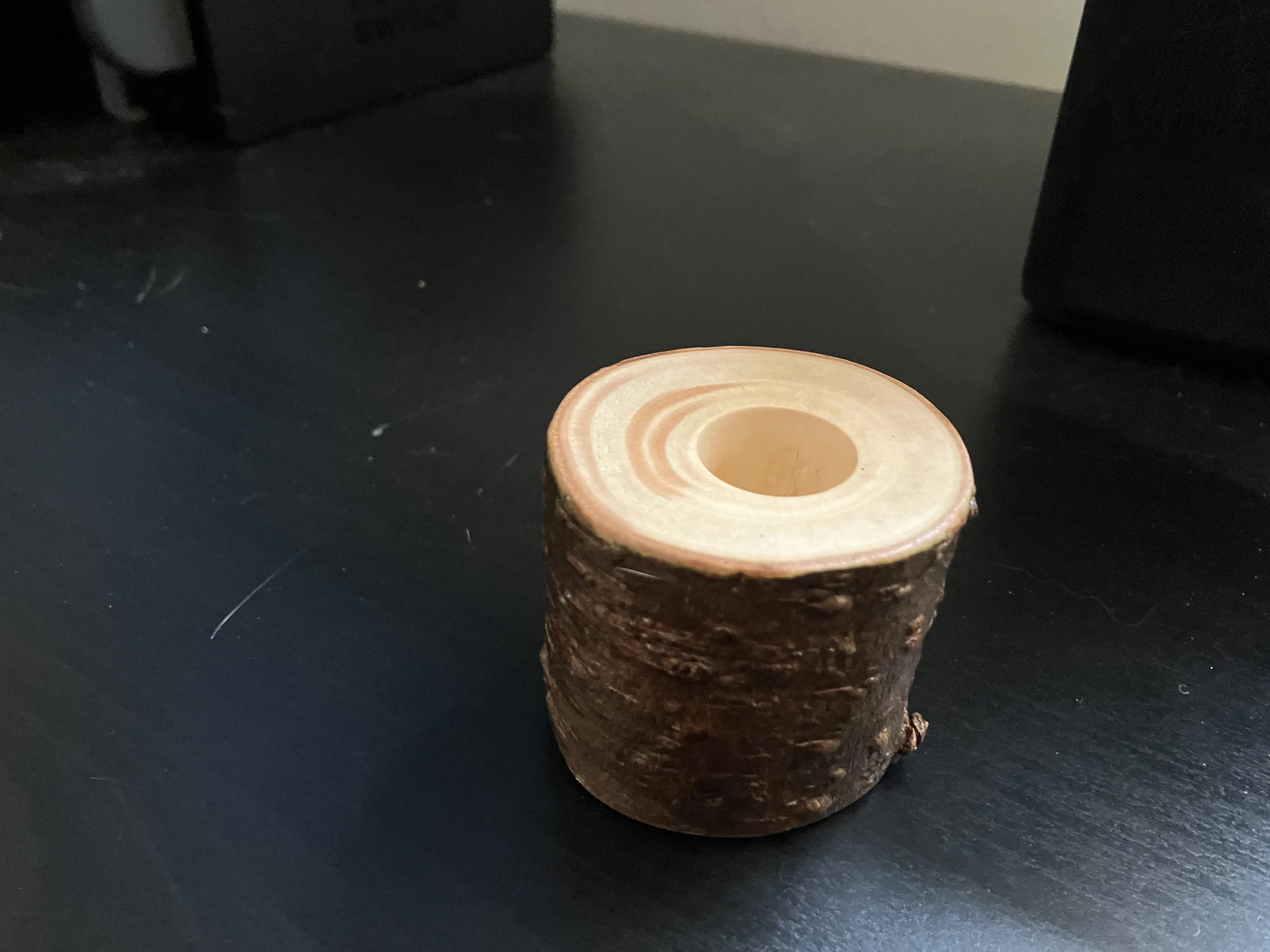 a cross section slice of a thin tree trunk with a hole drilled into the middle